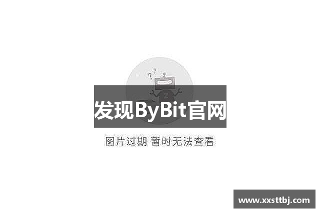 发现ByBit官网